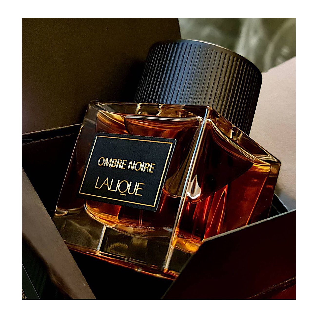 Lalique Ombre Noire EDP - Ảnh 2