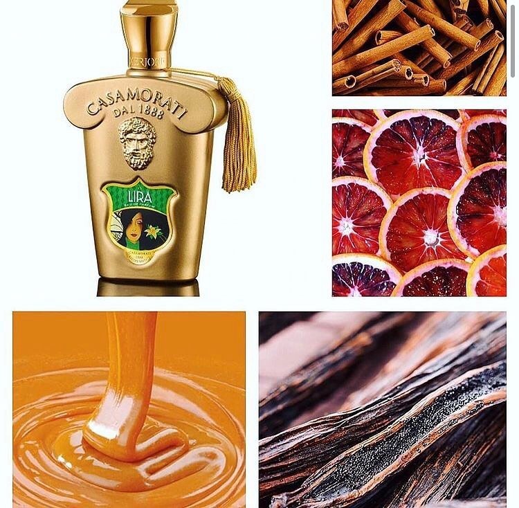 Xerjoff Casamorati 1888 Lira EDP - Ảnh 3