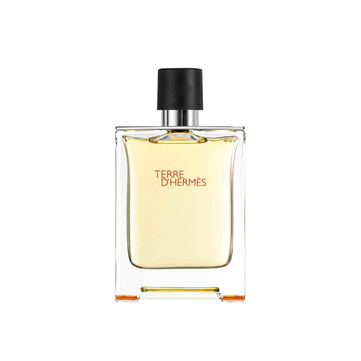Hermes Terre D'Hermes EDT