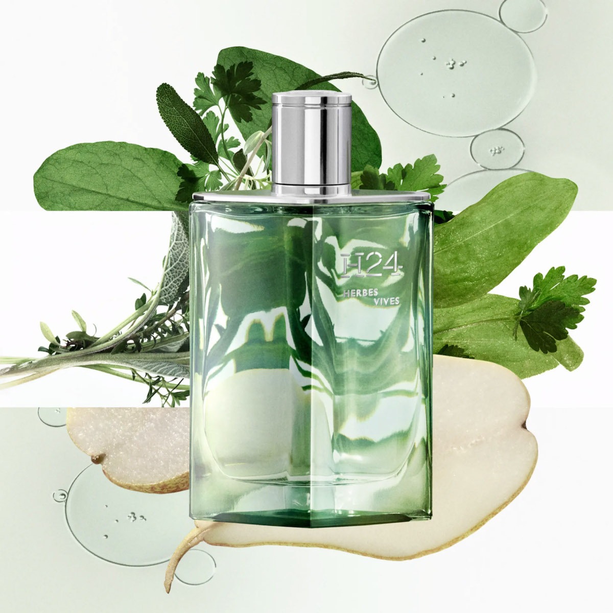 Hermes H24 Herbes Vives - Ảnh 2