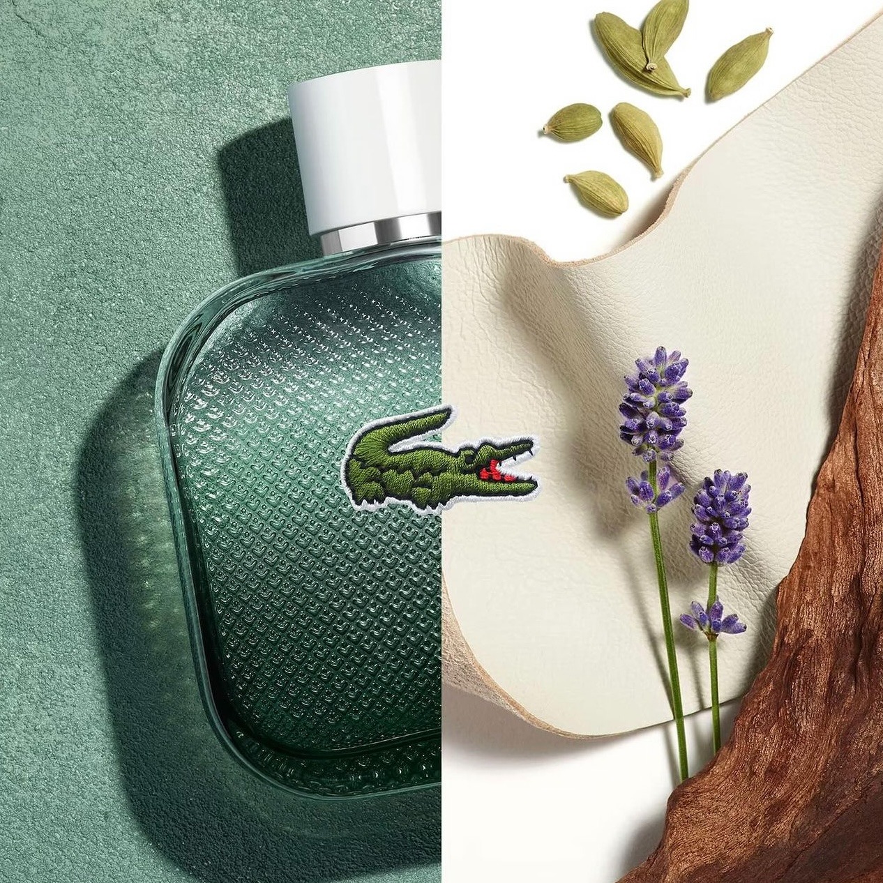 Lacoste L.12.12. Blanc Eau Intense - Ảnh 3