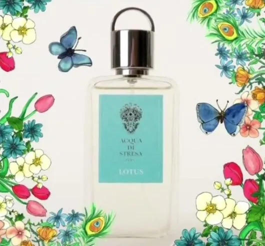 Acqua di Stresa Lotus - Ảnh 3